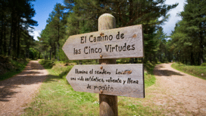 Lee más sobre el artículo El Camino de las Cinco Virtudes