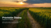 Provisión Divina – Caminos hacia la Prosperidad - Imagen 5